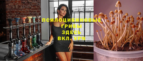 гашик Аша