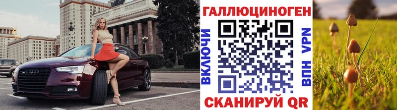 Галлюциногенные грибы мухоморы дарнет шоп Щёкино